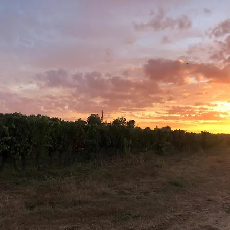 Podere La Vigna