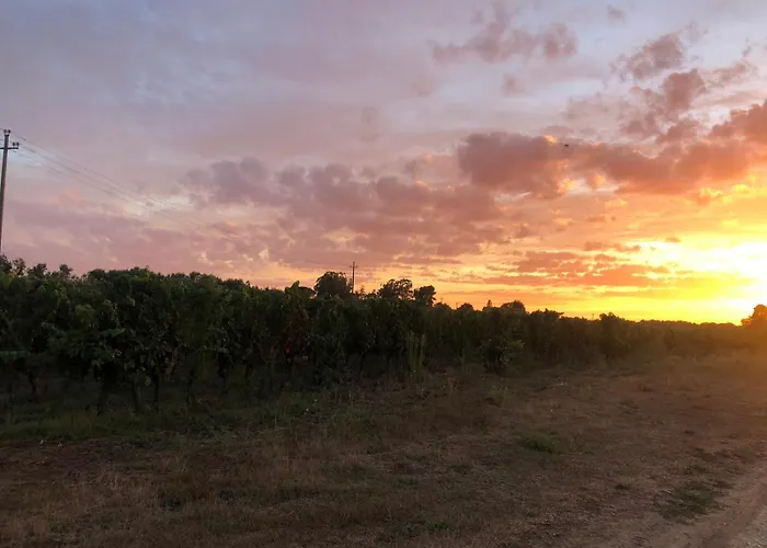Podere La Vigna